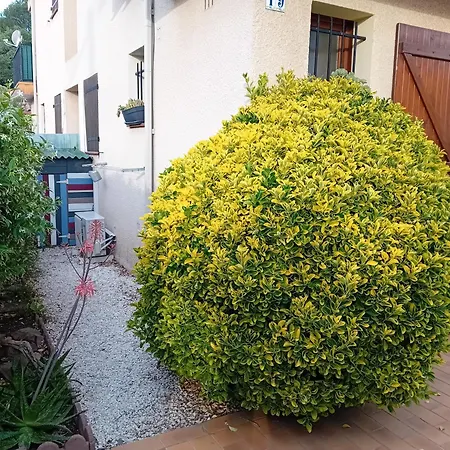 Le Racou Hébergement de vacances Argelès-sur-Mer